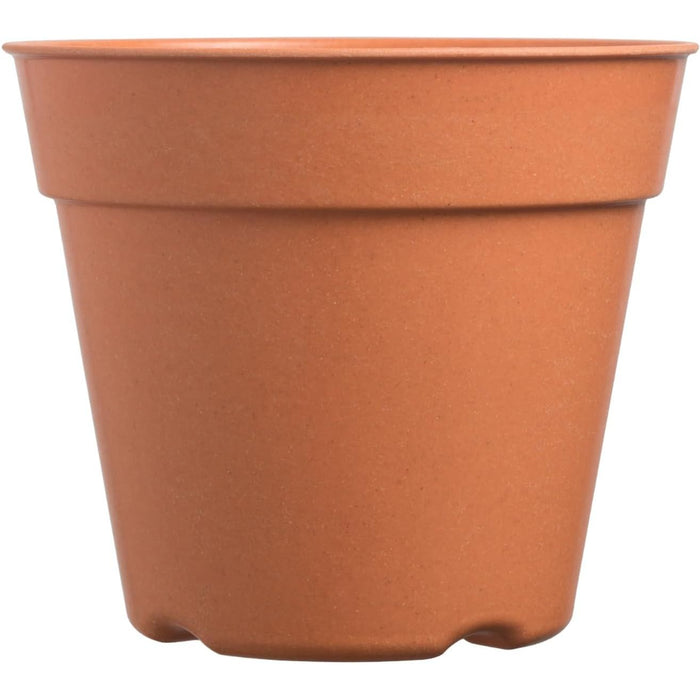 clear plant pot
