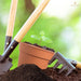 garden set
