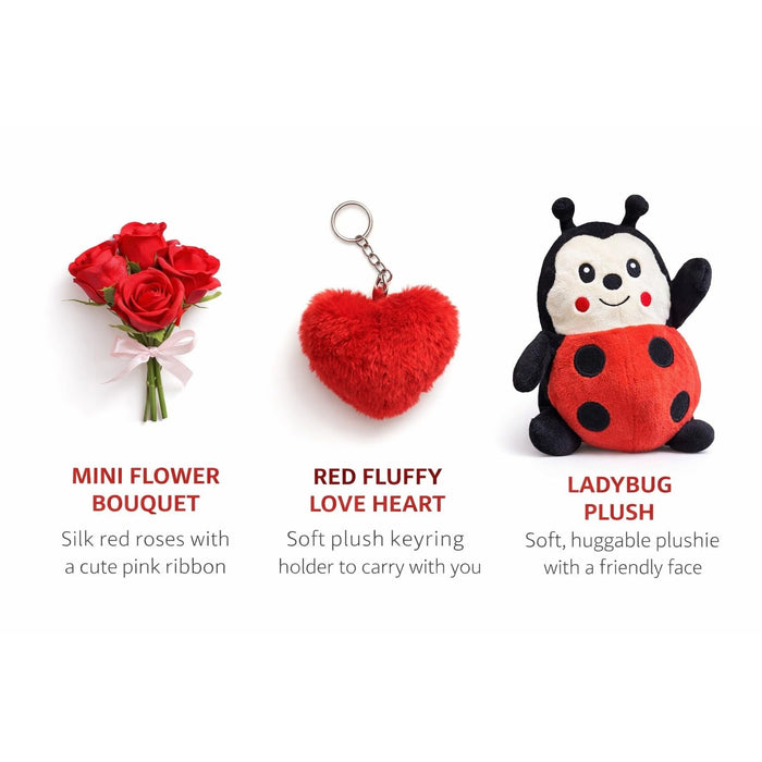Buggy Hugs Love Bug Gift Set – Plush Ladybird with Roses Gift Box
